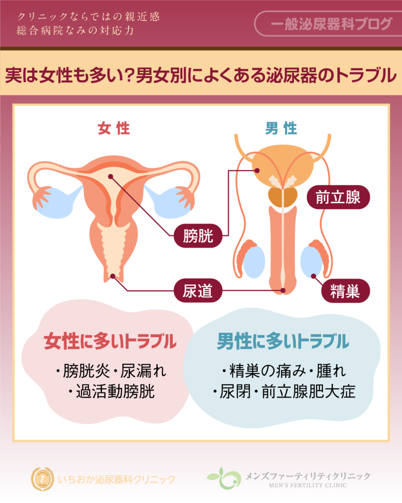実は女性も多い?男女別によくある泌尿器のトラブル