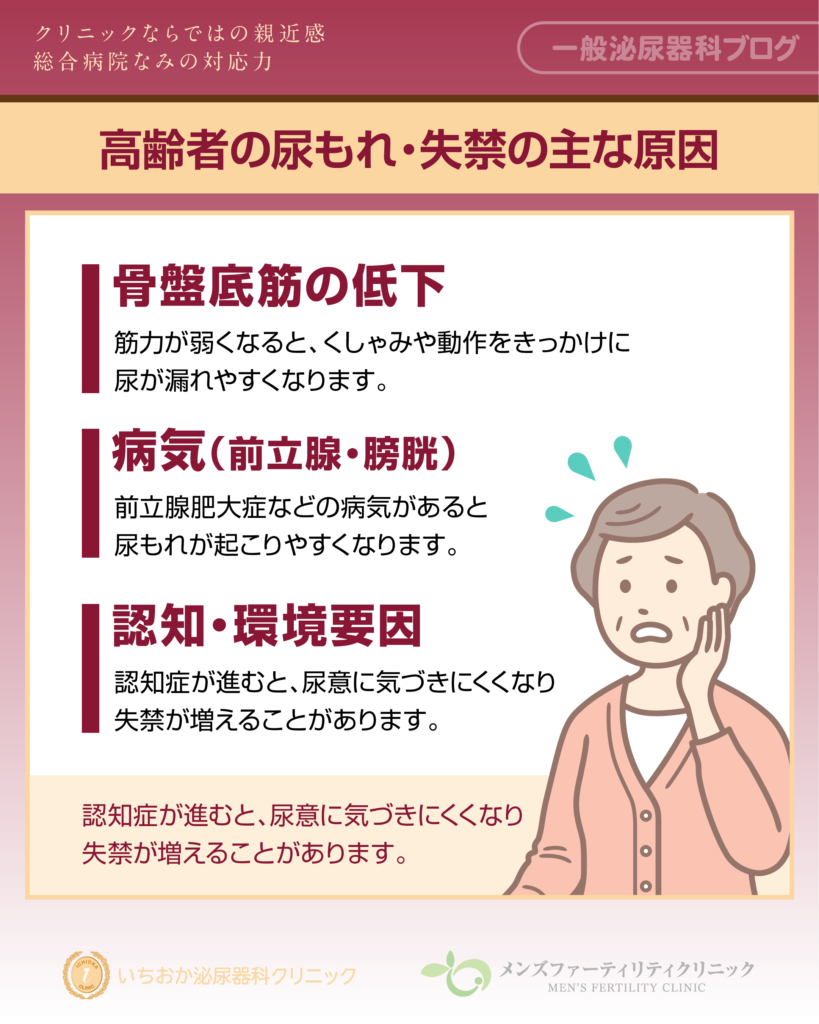 高齢者の尿もれ・失禁の主な原因は何か