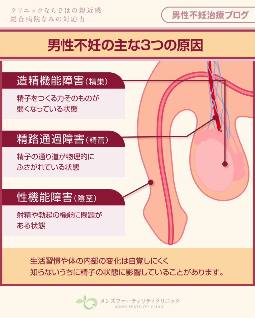 男性不妊の主な3つの原因